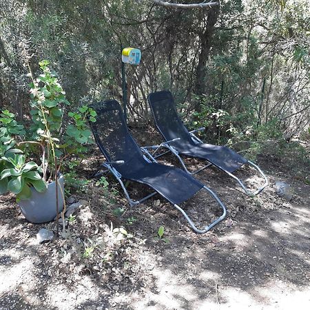 Hotel Roulotte Fenouillet Hyères Zewnętrze zdjęcie