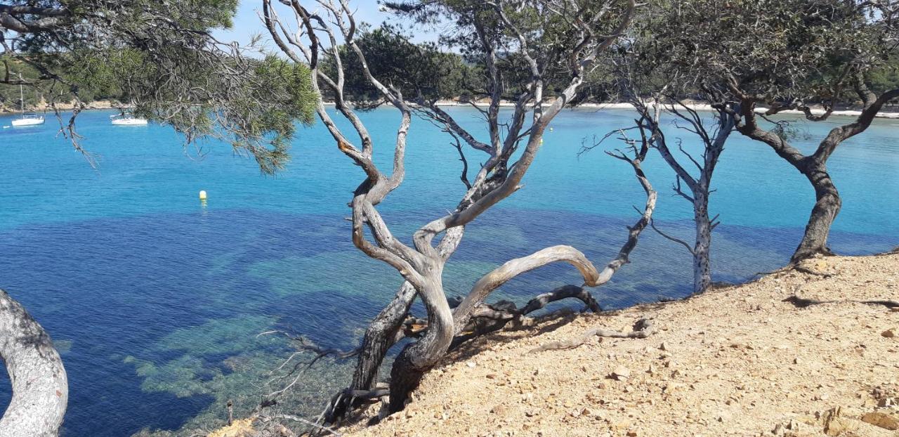 Hotel Roulotte Fenouillet Hyères Zewnętrze zdjęcie
